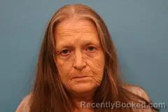 Mugshot of Patricia Portillo booked in Kendall County, Texas on May 15, 2026