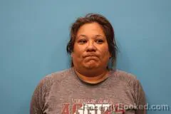 Mugshot of Elena Cruz-Escamilla booked in Kendall County, Texas on June 5, 2026