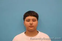 Mugshot of Jadelin Trevino booked in Kendall County, Texas on July 21, 2026