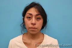 Mugshot of Alexa Gaspar booked in Kendall County, Texas on August 17, 2026