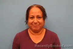 Mugshot of Celia Reyna booked in Kendall County, Texas on October 9, 2026
