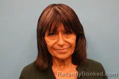 Mugshot of Alva Harris booked in Kendall County, Texas on October 22, 2026