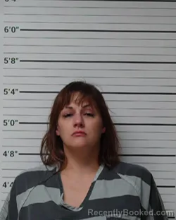 Booking photo from Kerr County, Texas