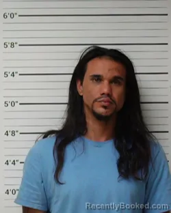 Mugshot of Austin James Borrayo