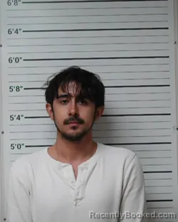 Booking photo from Kerr County, Texas