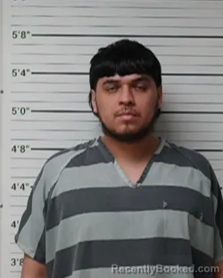 Mugshot of Joe Luis Trinidad