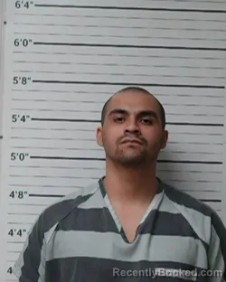 Mugshot of Roland Antonio Leija