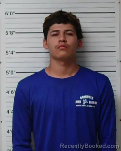 Mugshot of Misael Valadez