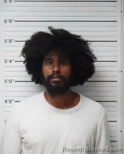 Mugshot of Bryant Franklin Jimenez Martinez