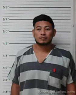Mugshot of Andino Ochoa-Hernandez