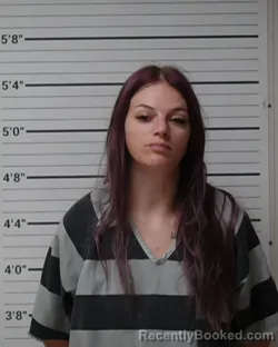 Mugshot of Brooke Chevelle Dressen