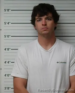 Mugshot of Austin Bess