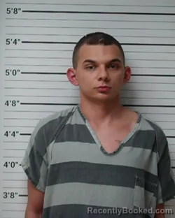 Mugshot of Deanthony Wayne Hodges