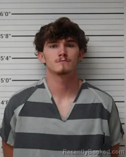 Mugshot of Brett Daniel Wiggins