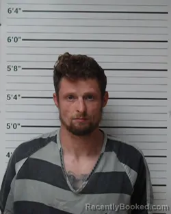 Mugshot of Trevor Lance Torans