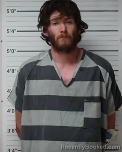 Mugshot of Colin Robert Brown