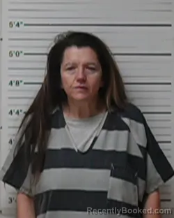 Mugshot of Sarah Psalms Sheets booked in Kerr County, Texas on March 5, 2026