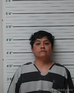 Mugshot of Samantha Baldillez booked in Kerr County, Texas on March 5, 2026