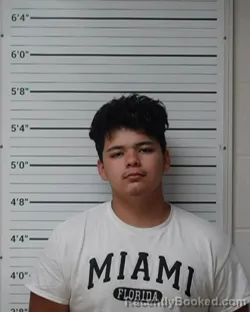 Mugshot of Jesus Salinas-Estrada