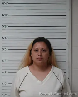 Mugshot of Kassandra Lynn Jimenez