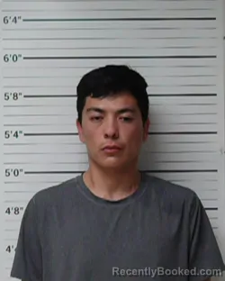 Mugshot of Dallas Jacob Ramones