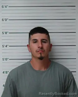 Mugshot of Joseph Ashton Love