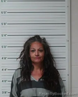 Mugshot of Theresa Tanya Sciaraffa booked in Kerr County, Texas on March 25, 2026