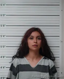 Mugshot of Jocelyn Ariel Hernandez booked in Kerr County, Texas on March 26, 2026