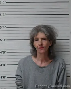 Mugshot of Tami D Heagy booked in Kerr County, Texas on March 28, 2026