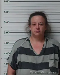 Mugshot of Misti Lachelle Fabro booked in Kerr County, Texas on March 31, 2026