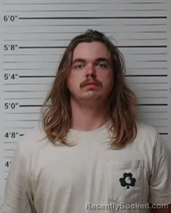 Mugshot of Carson Bryant Rains booked in Kerr County, Texas on April 3, 2026