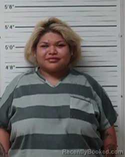 Mugshot of Desiree Irene Hernandez booked in Kerr County, Texas on April 4, 2026