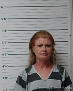 Mugshot of Leslie Ann Gomez booked in Kerr County, Texas on April 4, 2026