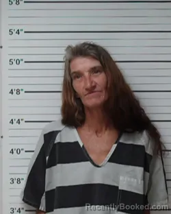 Mugshot of Vivian Ruth Westhoek booked in Kerr County, Texas on April 23, 2026