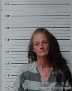 Mugshot of Suzanne Michelle Peterman booked in Kerr County, Texas on April 24, 2026