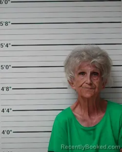 Mugshot of Patricia Barnett Rangubphai booked in Kerr County, Texas on May 4, 2026