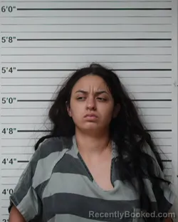 Mugshot of Sabrina Aisha Eve Nassouri booked in Kerr County, Texas on May 15, 2026