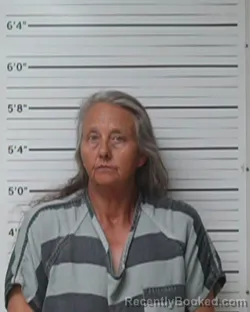 Mugshot of Michelle McBryde booked in Kerr County, Texas on June 26, 2026