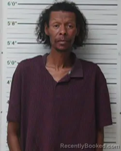 Mugshot of Lennie Matthews Franklin