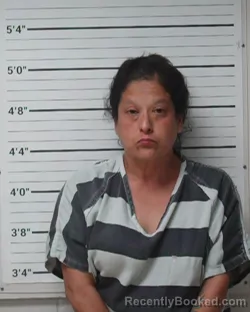 Mugshot of Yolanda Duenes Hernandez booked in Kerr County, Texas on July 8, 2026