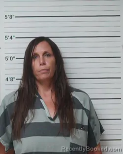 Mugshot of Michelle Jeanette Henley booked in Kerr County, Texas on July 9, 2026