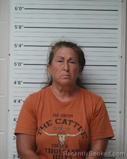 Mugshot of Theresa Ann Powles booked in Kerr County, Texas on July 10, 2026