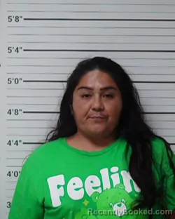 Mugshot of Nicole Vela booked in Kerr County, Texas on July 21, 2026