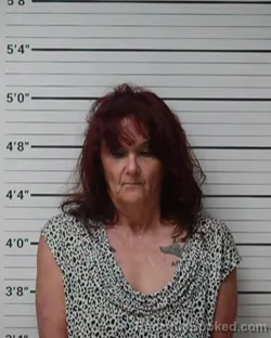 Mugshot of Lori Marie Vicory booked in Kerr County, Texas on August 8, 2026