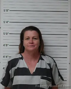 Mugshot of Misty Ray Ivy booked in Kerr County, Texas on August 19, 2026