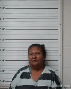 Mugshot of Juanita Aleman Saldana booked in Kerr County, Texas on September 24, 2026