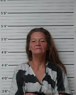 Mugshot of Tammy Louise Wilson booked in Kerr County, Texas on September 27, 2026
