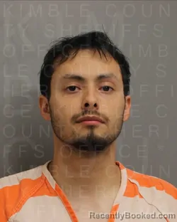 Mugshot of JOSE PEREZ
