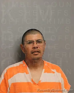 Mugshot of RAYMOND RAMOS