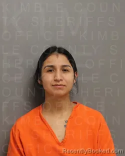 Mugshot of ALMA CRISTAL SOLIS